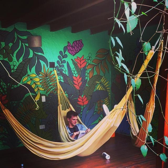 Casa Kiwi Hostel Medellin Ngoại thất bức ảnh