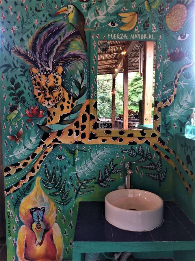 Casa Kiwi Hostel Medellin Ngoại thất bức ảnh